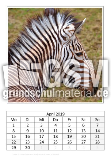 April_Zebra.pdf